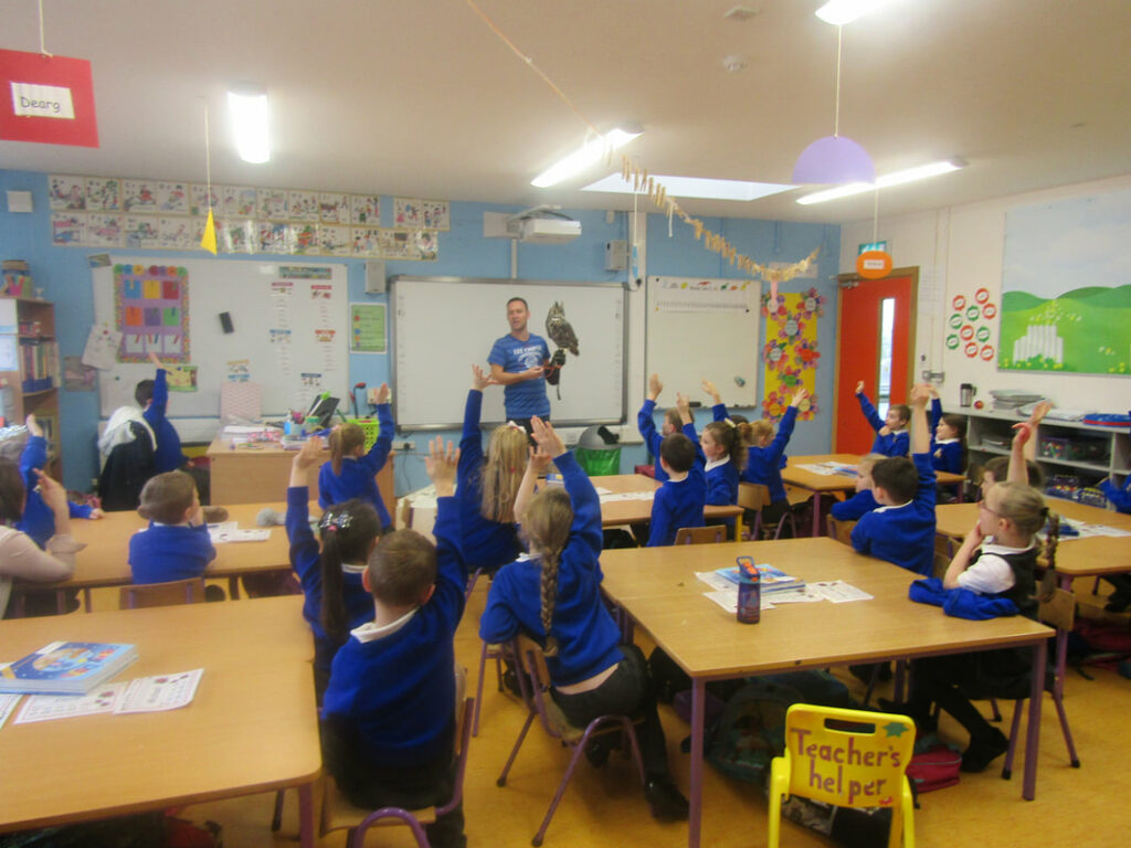 School Book Rental